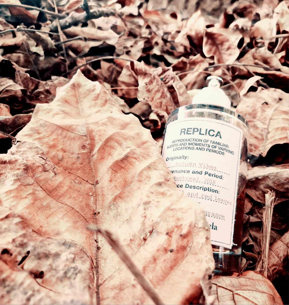 Autumn Vibes de Maison Martin Margiela