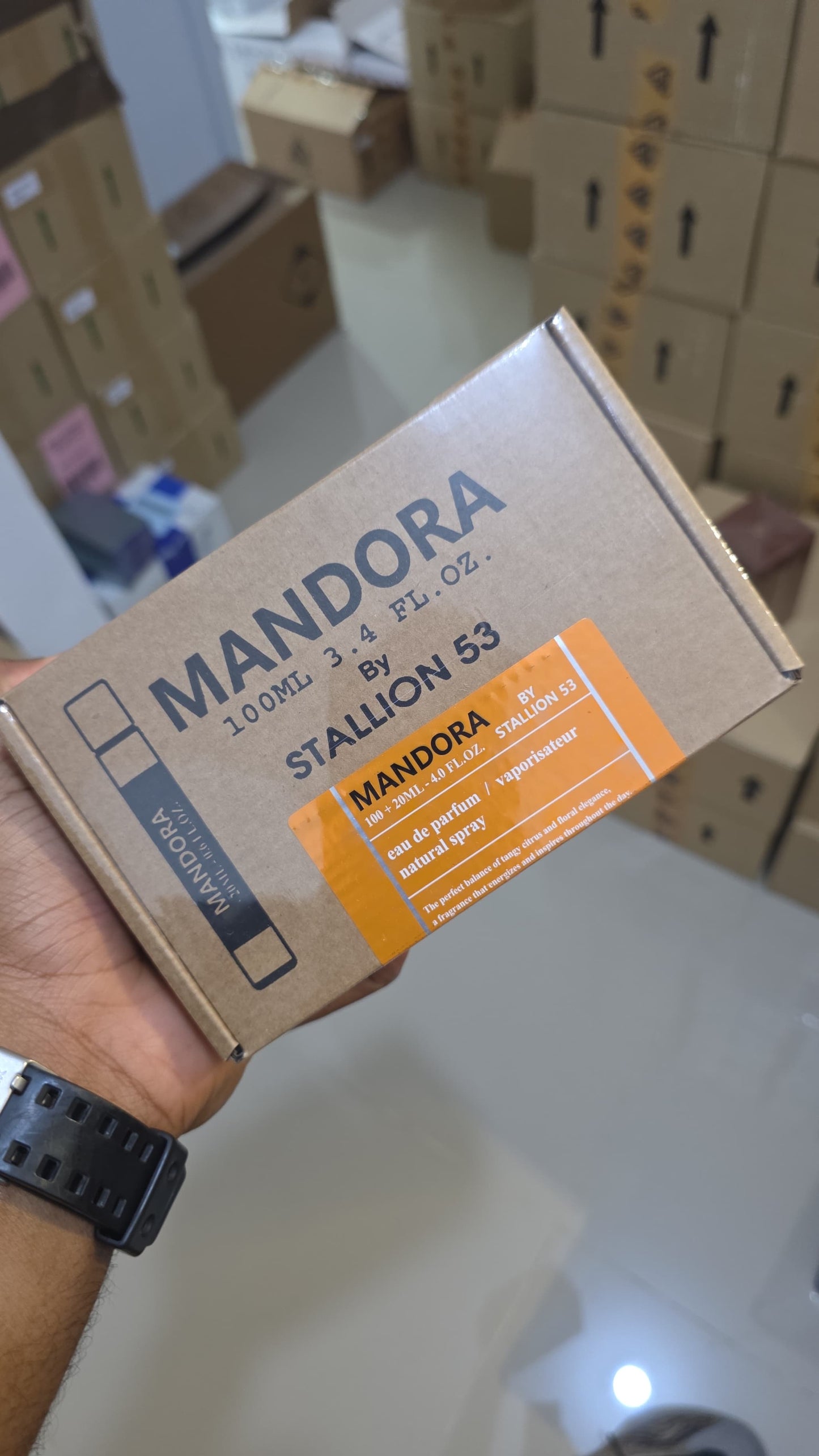 MANDORA (By Stallion53)
💰*RD$2,490*